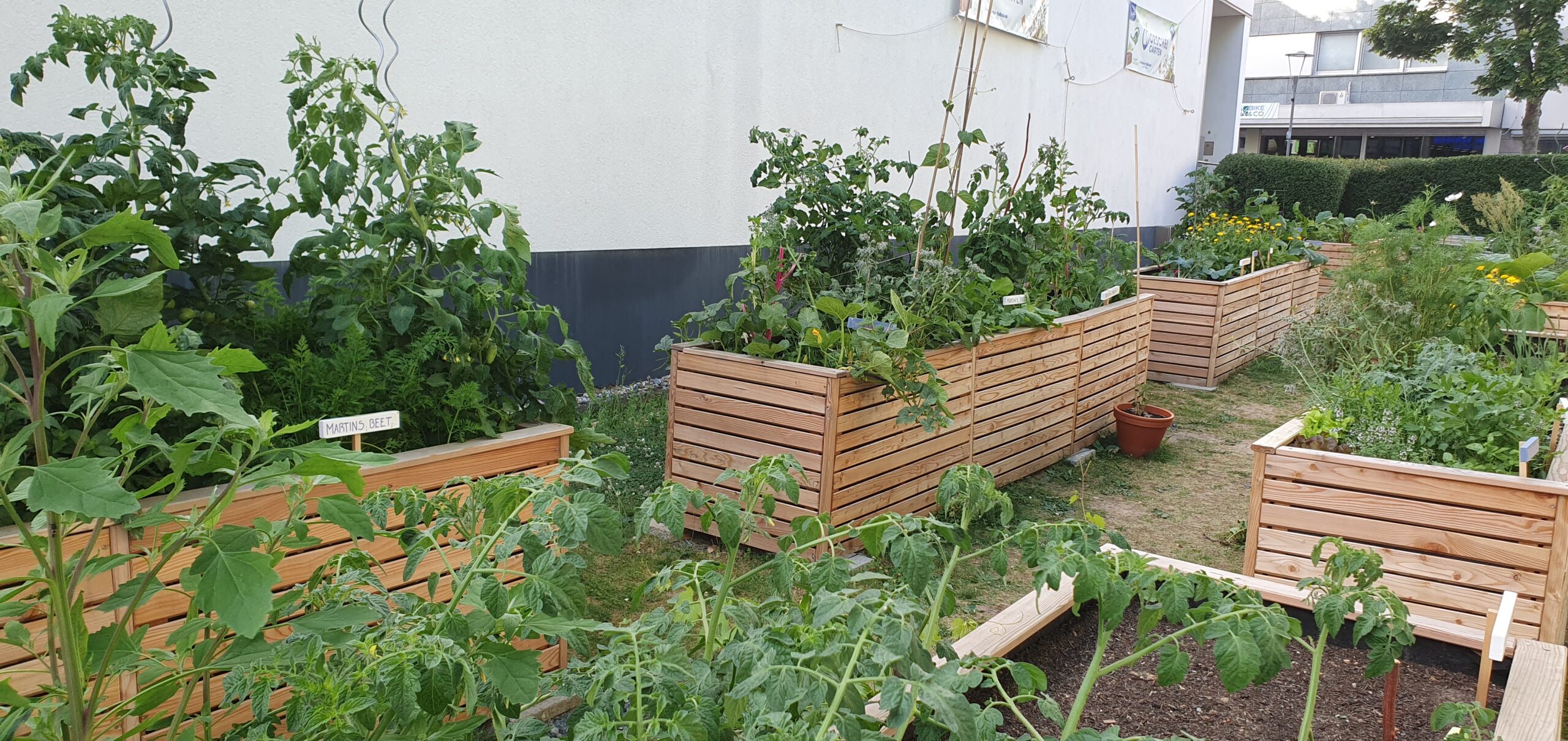 Garten-Sprechstunde