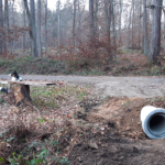 Regenwasserverteilrohre Stadtwald Oberursel