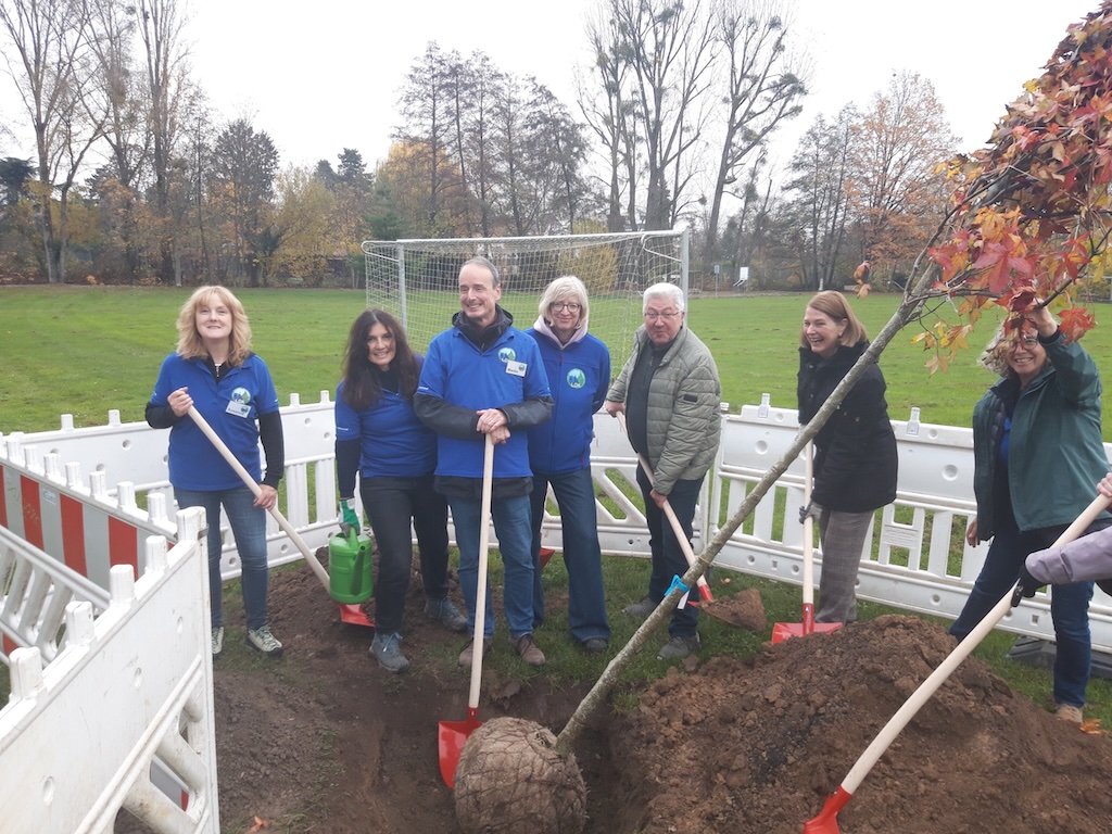 Baumpflanzaktion im Rushmoorpark am 15.11.2025